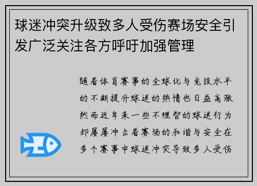 球迷冲突升级致多人受伤赛场安全引发广泛关注各方呼吁加强管理